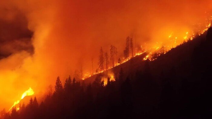 حريق غابات واسع في جنوب النمسا يمتد إلى 110 هكتارات وجهود مكثفة للسيطرة عليه