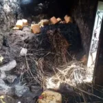 حريق مدمر يلتهم منزلاً وقطيع مواشي في تعز