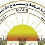 حزمة دعم شاملة لمتضرري السيول في سيناء بتوجيهات علاء فاروق