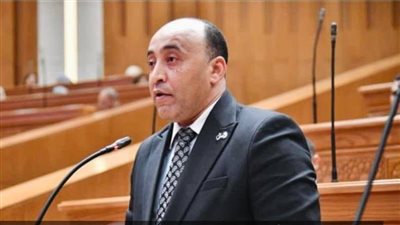 حسام حسن يتقدم بطلب إحاطة حول تضارب تقديرات توريد القمح لموسم 2026