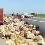 حوادث متفرقة في الغربية.. انقلاب تريلا وأسطوانات غاز دون خسائر وإصابة 10 في حادث ميكروباص