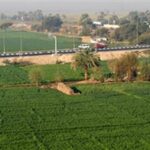 خاص| الأراضي الزراعية تتصدر قائمة الاستثمارات الأكثر أمانًا.. خبير اقتصادي يكشف الأسباب