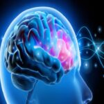 خطوات بسيطة تدعم صحة الدماغ وتحد من تدهوره مع التقدم في العمر