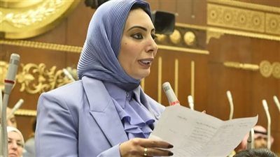 خطوة عاجلة لإنقاذ الأرواح بالإسماعيلية.. طلب برلماني لإنشاء مركز لعلاج السموم داخل المستشفيات