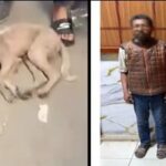 خوفا من مرضه.. القبض على شقيقين تعديا على كلب حتى نفوقه بالشرقية