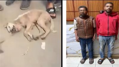 خوفا من مرضه.. القبض على شقيقين تعديا على كلب حتى نفوقه بالشرقية