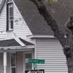 دب أسود يستنفر أمن نيويورك.. ونهاية مرعبة على يد الشرطة