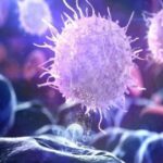 دراسة تكشف: السمنة تترك أثراً طويل الأمد في خلايا الجهاز المناعي حتى بعد فقدان الوزن