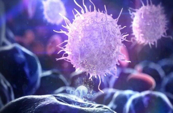 دراسة تكشف: السمنة تترك أثراً طويل الأمد في خلايا الجهاز المناعي حتى بعد فقدان الوزن