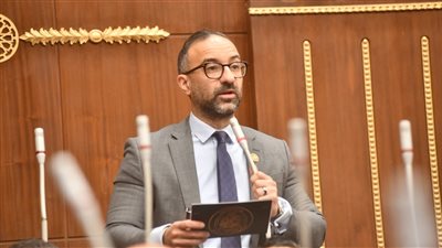 دعما لاستقرار الاسرة.. استجابة حكومية لمقترح الحمامصي.. “الرؤية الإلكترونية” ضمن قانون الأسرة الجديد