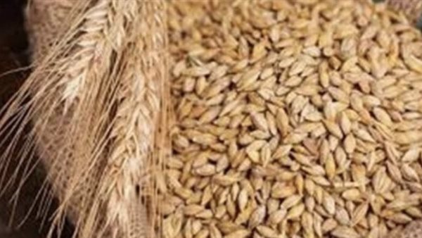 سعر الأرز الشعير اليوم الأحد يفاجئ الأسواق.. استقرار الأسعار يثير تساؤلات كبيرة