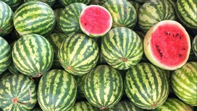 شائعات البطيخ تحت الحسم.. مركز المناخ يوضح الحقيقة الكاملة للمواطنين