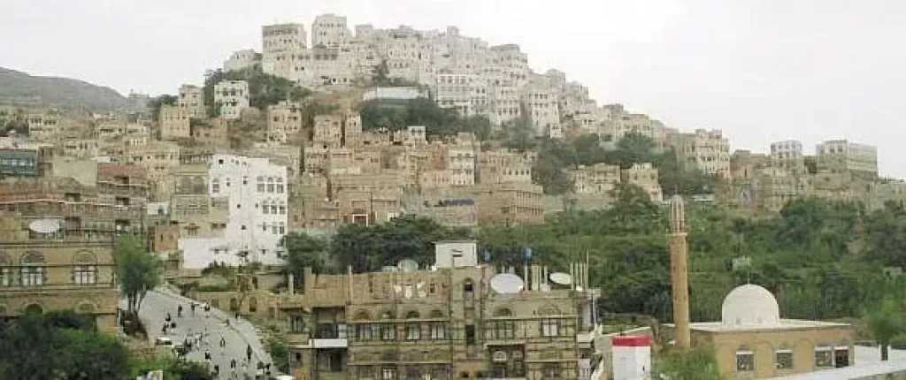 شاب يقتل شقيقه دون رحمة وينهي حياته على الفور