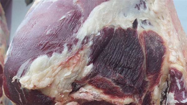 ضبط 74 كيلو لحوم مذبوحة خارج المجازر الحكومية في حملة تموينية