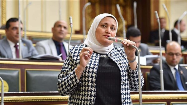 ضرورة قانون أحوال شخصية متوازن والأم الأجدر برعاية الطفل غريزيا