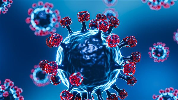 عاجل| بعد وفاة طالب.. استغاثة عاجلة من انتشار عدوى فيروسية بين طلاب مدرسة تجريبية بالتجمع الأول