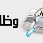 عاجل.. بمرتبات 11 ألف جنيه .. الحكومة تعلن عن وظائف جديدة وطريقة التقديم