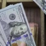 عاجل.. سعر الدولار اليوم السبت 25 أبريل 2026 يستقر في البنوك المصرية وسط ترقب الأسواق