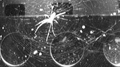 عودة «عنكبوت الفضاء».. الصين تعيد إحياء حلم ناسا لبناء منشآت عملاقة بالمدار