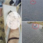 فاجعة جديدة في عمران سد ‘‘حواري’’ يلتهم شابين ومناشدات للتعرف عليهما (صور)