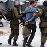 قوات الاحتلال الإسرائيلي تعتقل 11 فلسطينيا وتعتدي على طفل بالضفة الغربية