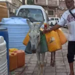 كارثة المياه: ”إيجار الحمار” يرتفع والمواطن يبحث عن قطرة ماء بعدن!
