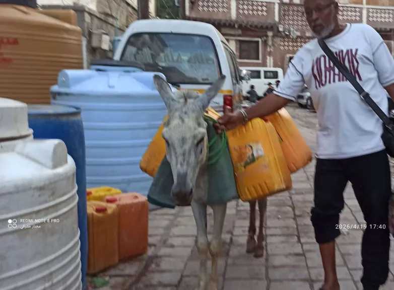 كارثة المياه: ”إيجار الحمار” يرتفع والمواطن يبحث عن قطرة ماء بعدن!