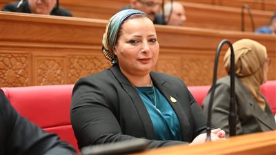 كلمة الرئيس السيسي في ذكرى تحرير سيناء تؤكد قدرة مصر حماية أرضها ومواجهة التحديات