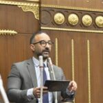 لإنصاف غير العاملات.. الحمامصي يعتزم تقديم تعديلًا تشريعيًا ينهي وقف معاش الابنة عند الزواج