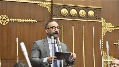 لإنصاف غير العاملات.. الحمامصي يعتزم تقديم تعديلًا تشريعيًا ينهي وقف معاش الابنة عند الزواج