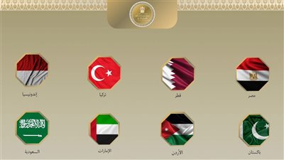 لا سيادة لإسرائيل على الأرض الفلسطينية ونرفض أي محاولات لتهجير شعبها