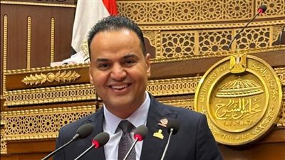 لاستيضاح سياسة الحكومة.. مجلس الشيوخ يناقش الأحد المقبل طلب النائب الحسيني الليثي بشأن نتائج الأولمبياد واستعدادات 2028 بحضور وزير الشباب والرياضة