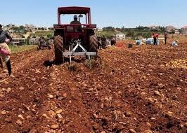 لبنان.. .وزير الزراعة يعلن تضرر 22.5% من الأراضي وخسائر القطاع تصل إلى 800 مليون دولار