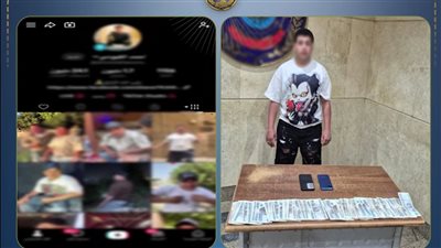 لتحقيق أرباح.. ضبط صانع محتوى بالجيزة لنشره مقاطع خادشة