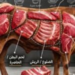 ما هي أفضل قطعة لحم من الأضحية 2026؟