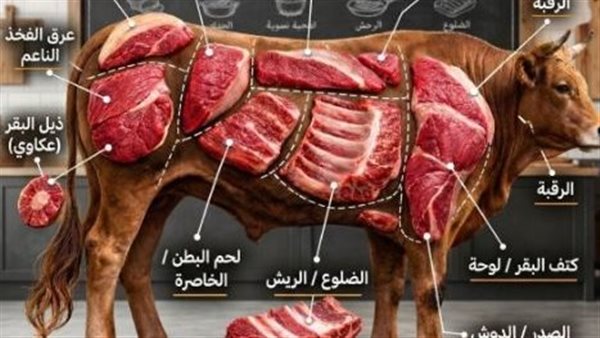 ما هي أفضل قطعة لحم من الأضحية 2026؟