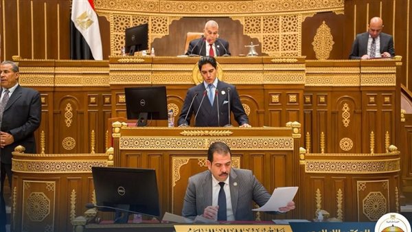 ماذا يحدث لو تم استبعاد النقابيين من المجالس النيابية؟