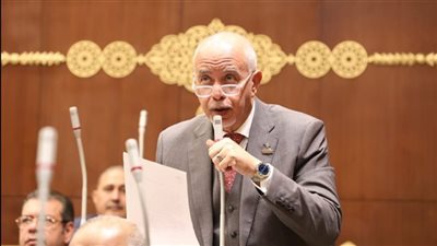 مجلس الشيوخ يناقش اقتراح النائب حازم الجندي لإنشاء هيئة أو شركة متخصصة في تسويق المنتجات الزراعية