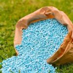 مجلس الوزراء يوضح حقيقة وجود أزمة في الأسمدة الزراعية للموسم الصيفي