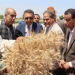محافظ القليوبية يتفقد حصاد القمح في قها ويؤكد تقديم تسهيلات كبرى للمزارعين
