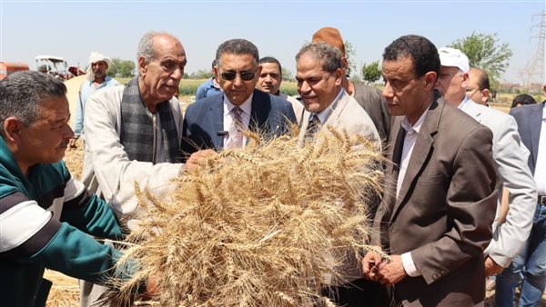 محافظ القليوبية يتفقد حصاد القمح في قها ويؤكد تقديم تسهيلات كبرى للمزارعين