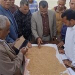 محافظ المنيا يعلن استلام أكثر من 9 ألف طن قمح في مستهل موسم حصاد 2026