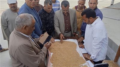 محافظ المنيا يعلن استلام أكثر من 9 ألف طن قمح في مستهل موسم حصاد 2026