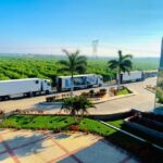 مصر تبدأ تصدير الدواجن لقطر رسميًا.. أول شحنة 300 طن تنطلق اليوم