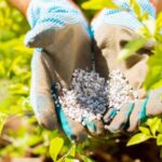 مصر تنفي وجود أزمة في الأسمدة الزراعية للموسم الصيفي.. ما القصة؟