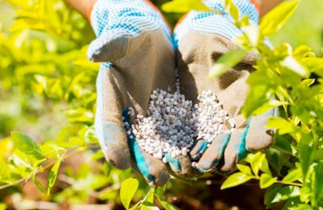 مصر تنفي وجود أزمة في الأسمدة الزراعية للموسم الصيفي.. ما القصة؟