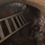 مصرع شخصين أثناء التنقيب عن الآثار بطامية.. وانهيار حفرة على عمق 15 مترًا ينهي حياتهما