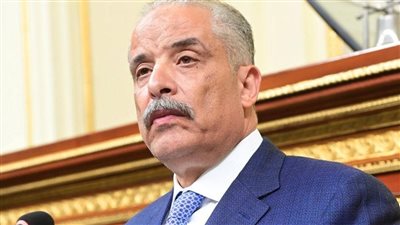 معاشات غير مضمونة ورعاية تتوقف عند 18 عامًا.. تضامن النواب تناقش طلب إحاطة للنائب عيد حماد حول ملف “الأسر البديلة”