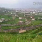 مقتل وإصابة شقيقين برصاص أحد أقاربهما بسبب خلاف على قطعة أرض