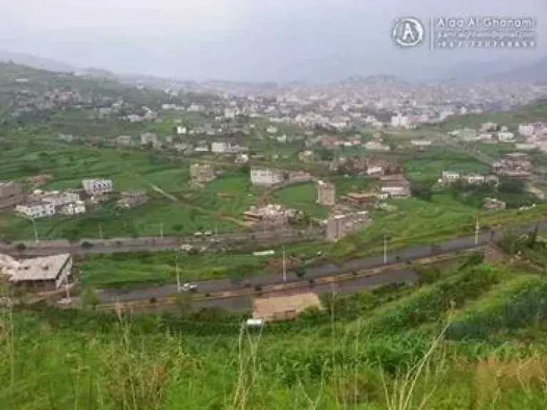 مقتل وإصابة شقيقين برصاص أحد أقاربهما بسبب خلاف على قطعة أرض